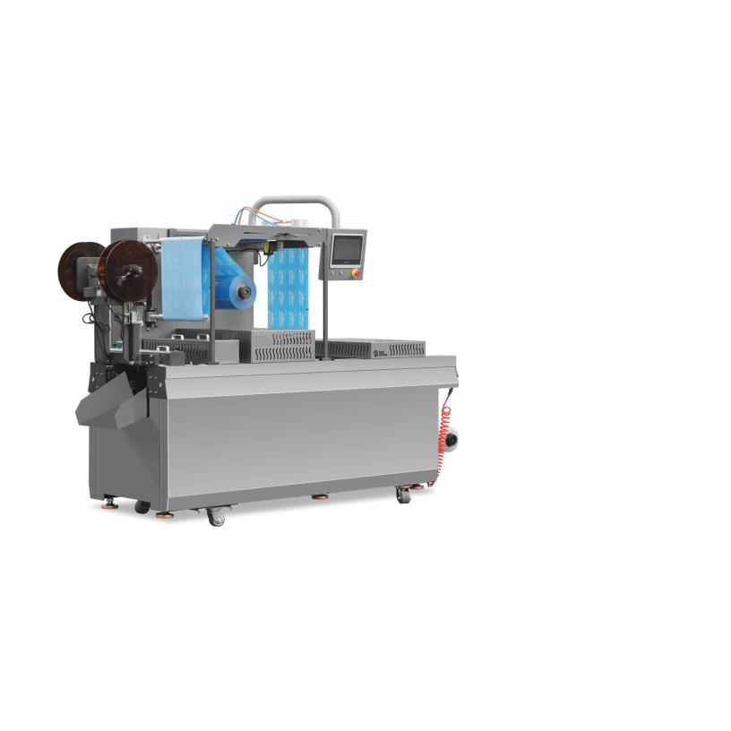 33 - 2026-02-25T162330.522