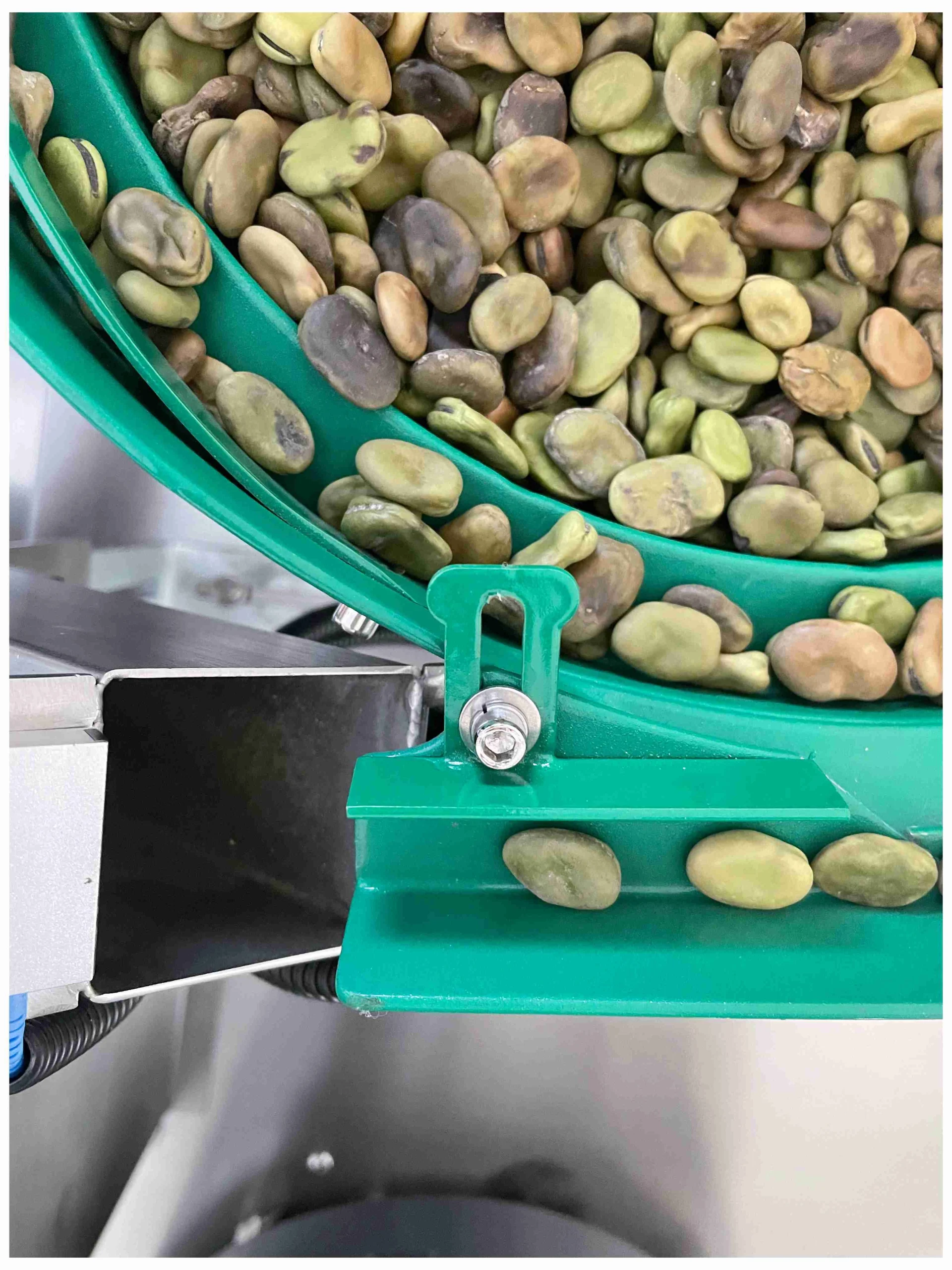 详情_03 - 2026-02-28T113510.448